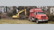 Moore Tree Service