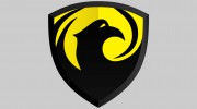 Phoenix Security Systems