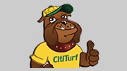 CitiTurf