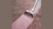 Steve Dillon Carpet Cleaning