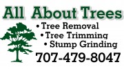 All About Trees