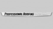 Professional Roofing