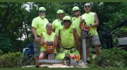 LP Tree Service