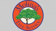 Molina's Tree Service & Landscaping
