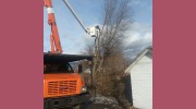 Champion Tree Trimming Service