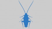 Gregory's Pest Control