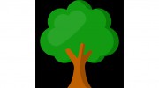 Arbor Steve