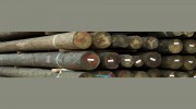 Bayou City Lumber