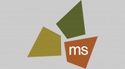 Ms Consultants