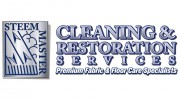 Steem Master Carpet Cleaner