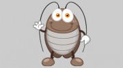 Washington Termite & Pest Control