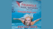 Aqua Triangle 1