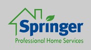 Springer Professional