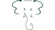 Elephant Ears
