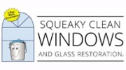 Squeaky Clean Window Svc