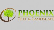 Phoenix Tree & Landscape