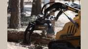 Complete Tree Service