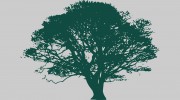 Second Nature Tree Service