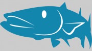 Barracuda Builders