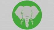 Elephant Trunk Moving Supplies