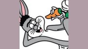 Rabbit Floors