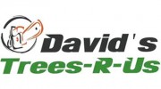 David's Trees R US