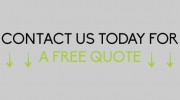 RVA Mold Removal