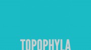 Topophyla