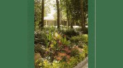 Southwest Property Landscaping