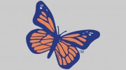 Ecola Termite & Pest Control Services