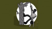 Zamora Tree Service