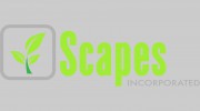 Scapes