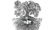 Wise Man Roots
