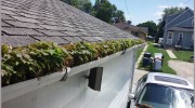 Indianapolis Gutter Cleaning