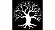 Holistic Horticulture & Landscaping