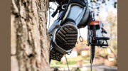 Apex Tree Removal & Trimming