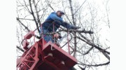 Southern Maryland Fellers Tree Service
