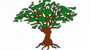 Fort Myers Tree Service