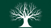 Donovan Tree Removal