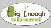 Big Enough Tree Service