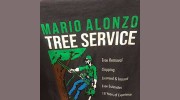 Mario Alonzo Tree Service