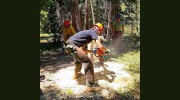 TSH Tree Service