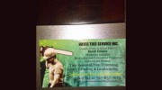 Hayes Tree Service