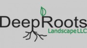 Deep Roots Landscape