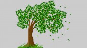 Callender Tree Service