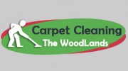 TX The Woodlands Carpet Cleaning