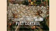 The Noble Way Pest Control