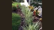 Lawn Enforcement Property Management