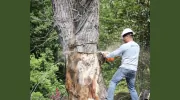 Mencer's Tree Service