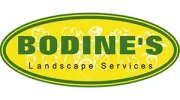 Bodines